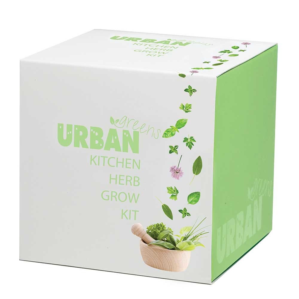kitchen herb grow kit
